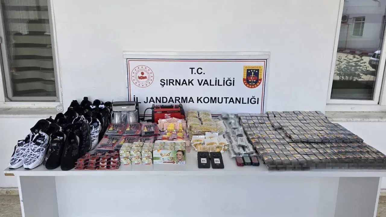Şırnak'ta jandarmadan asayiş, kaçakçılık ve narkotik operasyonları : 1 gözaltı