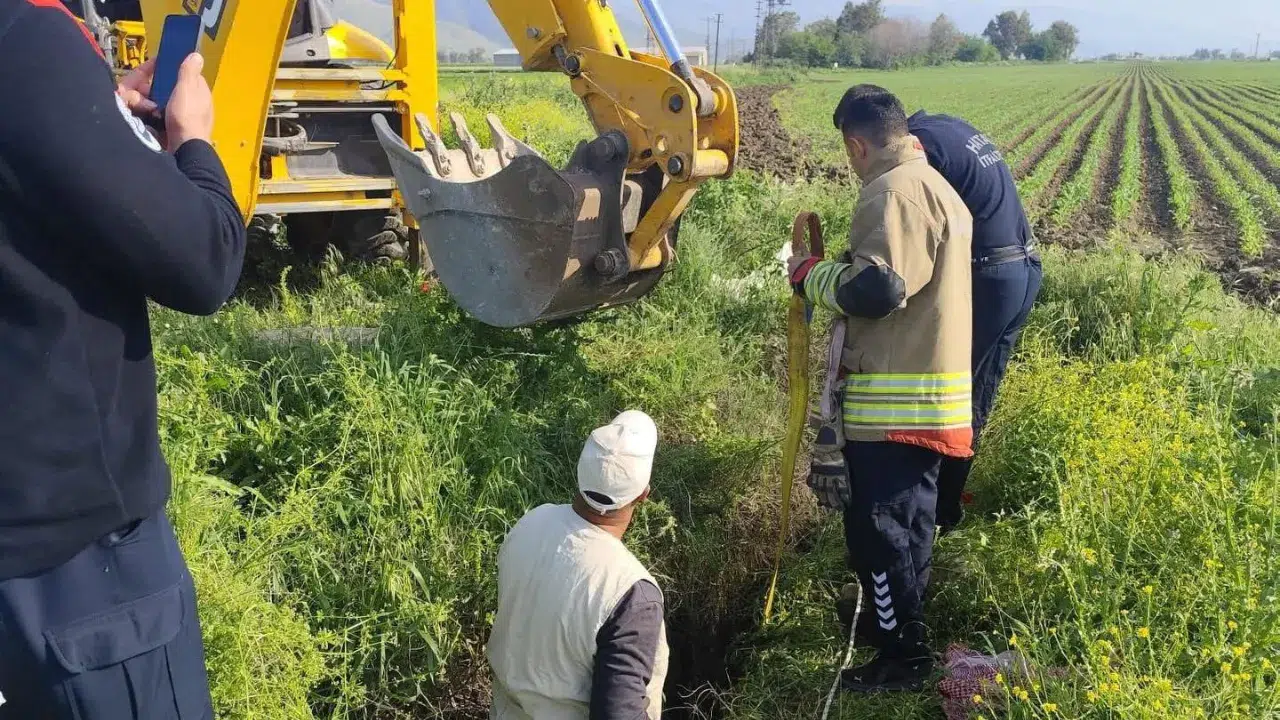Antakya’da kuyuya düşen büyükbaş hayvan kurtarıldı