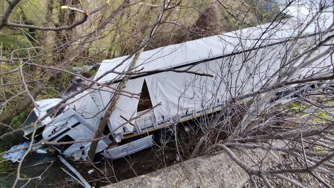 Tokat'ta tır dere yatağına devrildi : 3 kişi yaralandı, 6 hayvan telef oldu