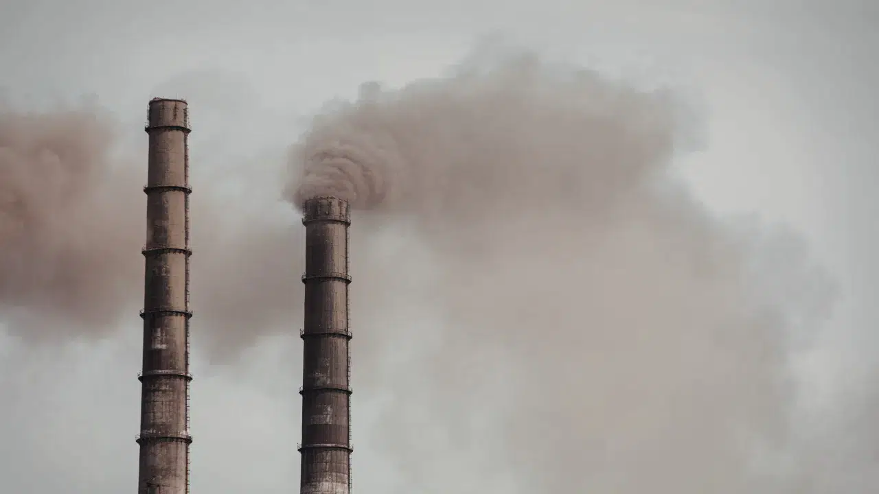 İmalat sanayi kapasite kullanım oranı açıklandı: Mart 2026 verileri belli oldu