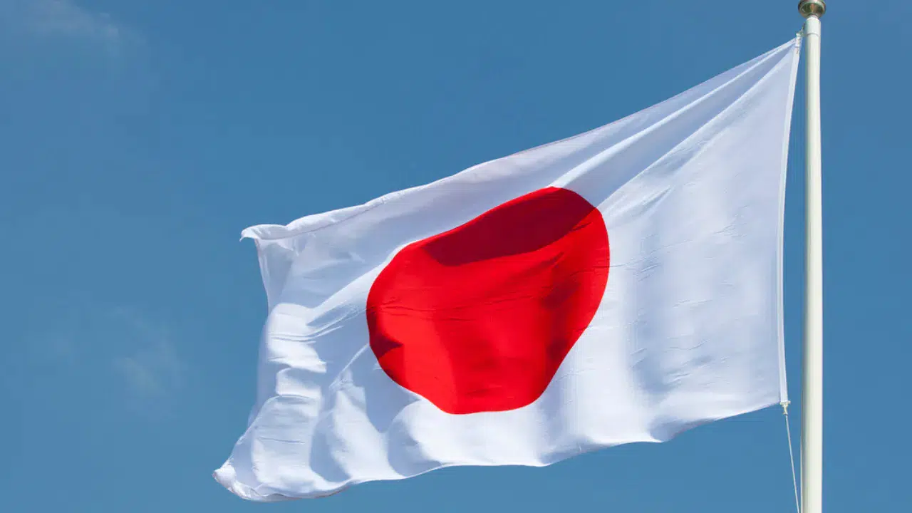 Japonya'da orman yangınları : Bin 620 hektar küle döndü