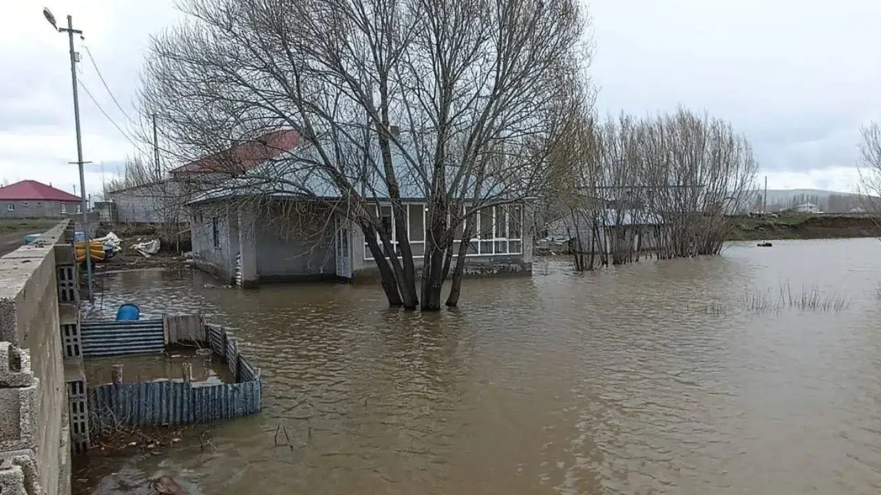 Ağrı'da sağanak etkisi : Evler ve tarım arazileri su altında
