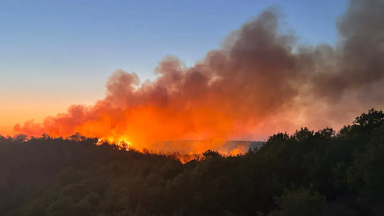 Beykoz'da ormanlık alandaki yangına müdahale sürüyor