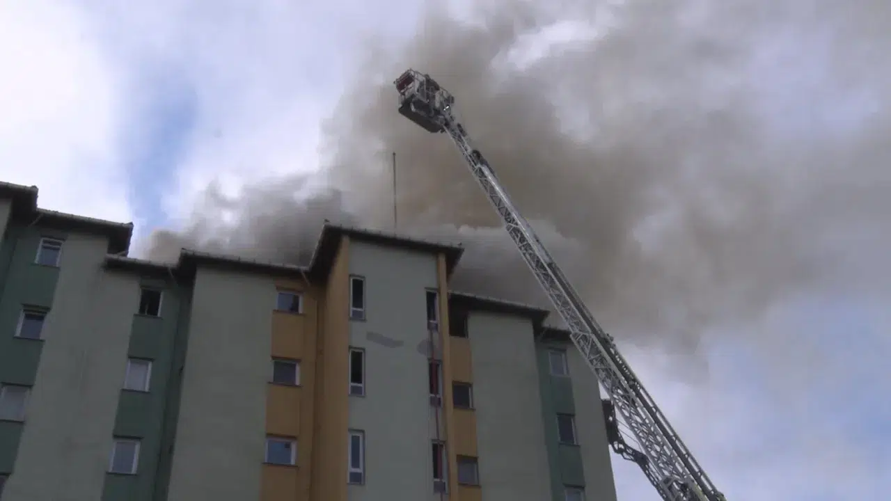 Ataşehir'de 8 katlı binada yangın : Sakat köpek mahsur kaldı