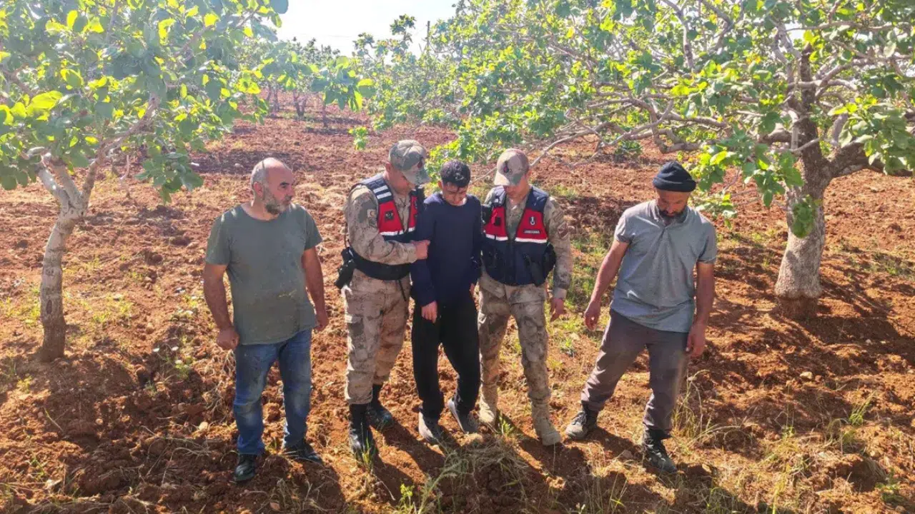 Şanlıurfa'da kaybolan çocuk fıstık bahçesinde bulundu