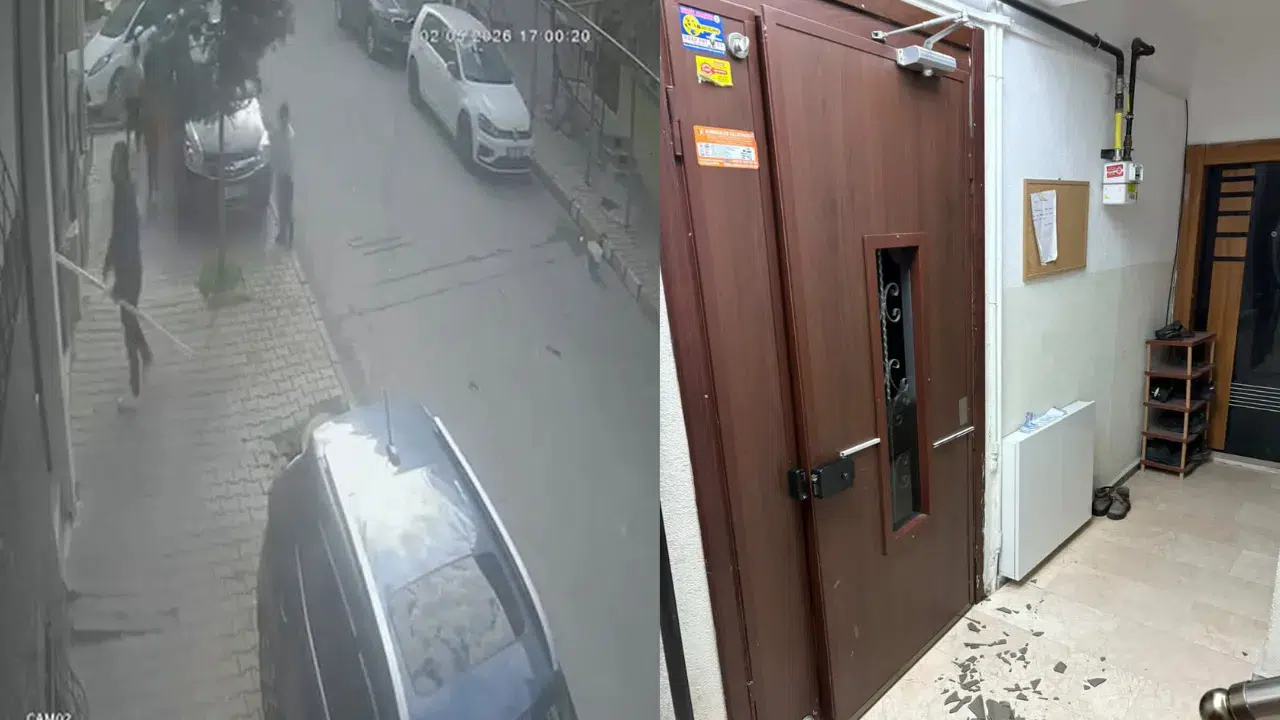 Arnavutköy'de korku dolu anlar : Önce çocuklara sonra bina sakinlerine saldırdı