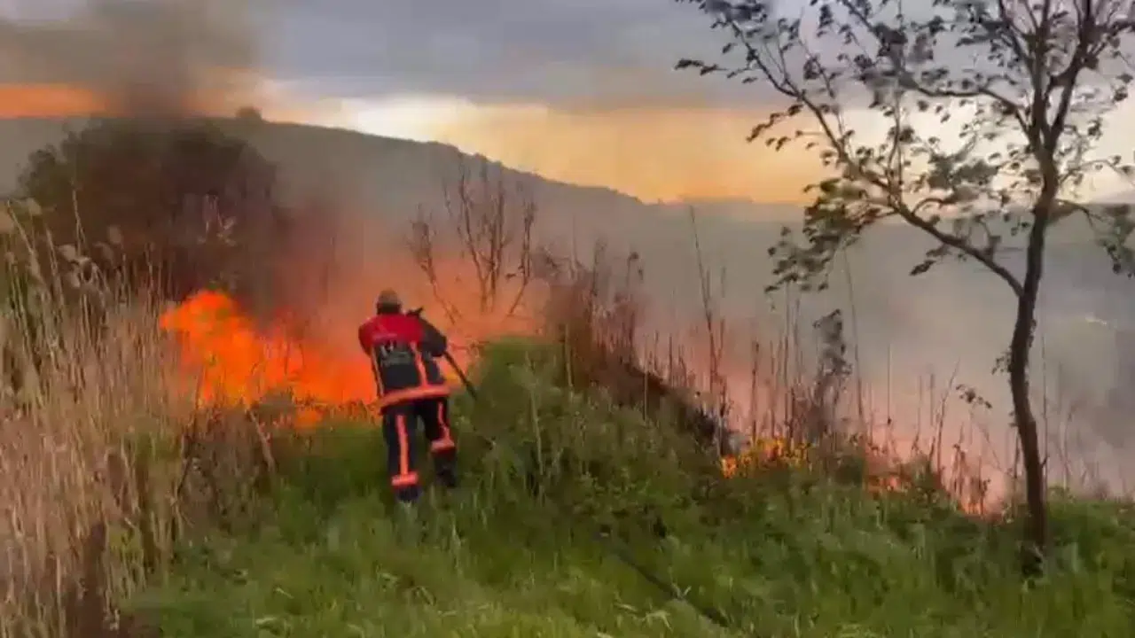 Elazığ'da otluk alanda yangın çıktı