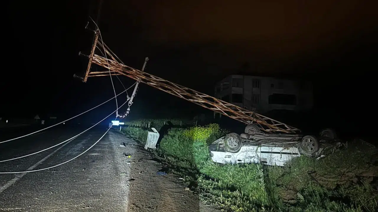 Elazığ'da otomobil elektrik direğine çarpıp ters döndü