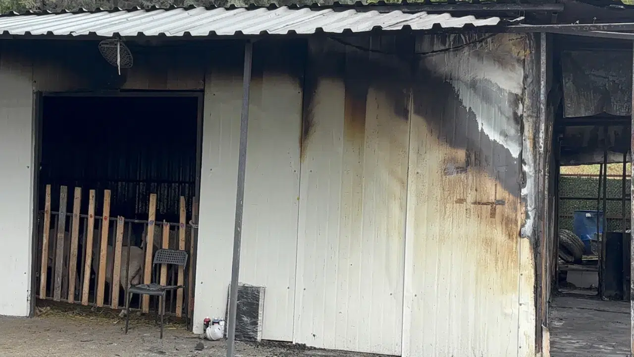 Eyüpsultan'da adak kurban merkezinde yangın : 1 ölü, 1 gözaltı