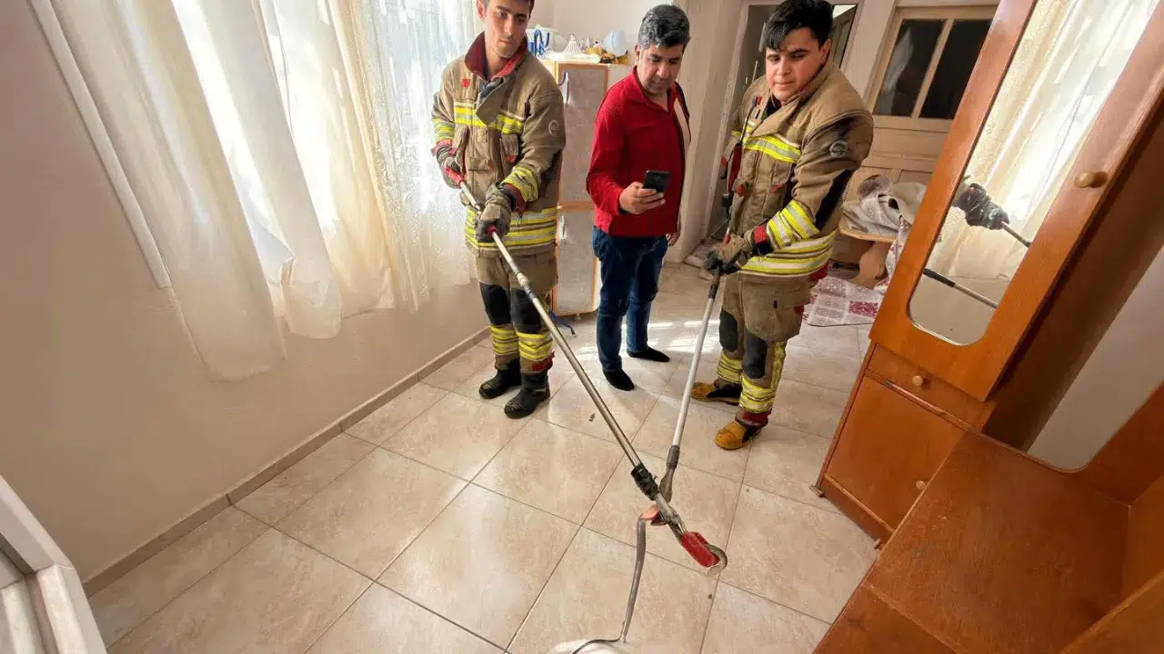 İskenderun'da evde yılan paniği : İtfaiye ekipleri özel aparatla yakaladı