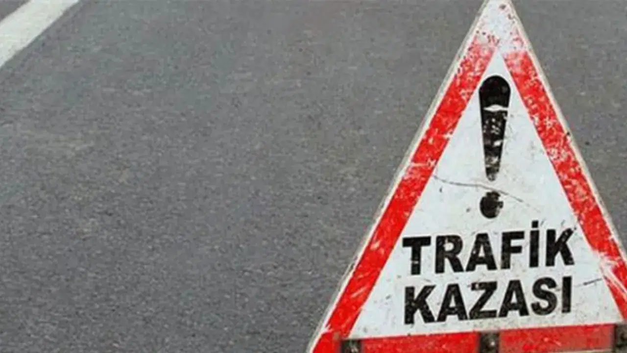 Van Çaldıran'da otomobil takla attı : 2 yaralı