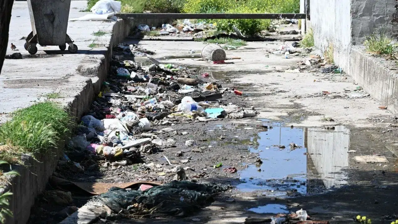 Manisa’da dere temizliğinde yok yok : Koltuk ve bebek bezi çıktı