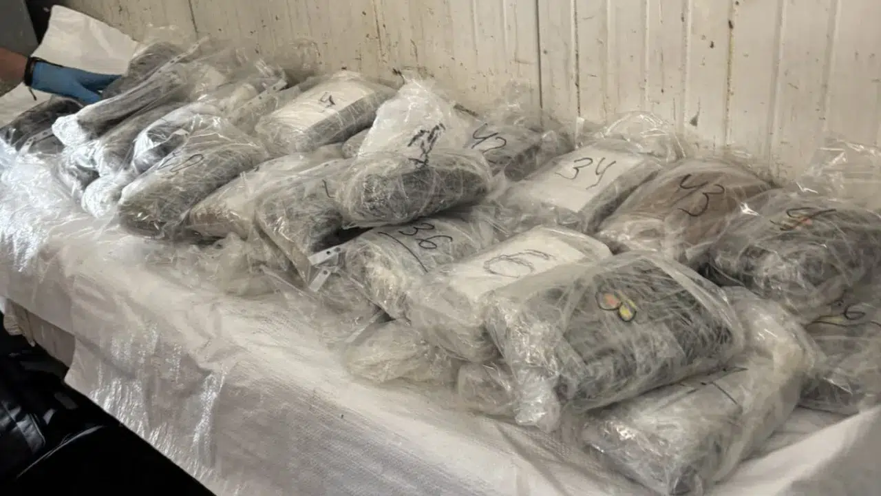 Kapıkule sınırında uyuşturucu operasyonu : 47 kilo 910 gram kokain ele geçirildi