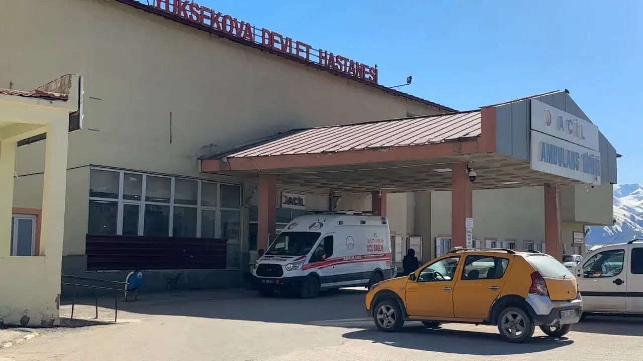Yüksekova’da yaylada patlama : 17 yaşındaki çoban yaralandı, 3 koyun telef oldu