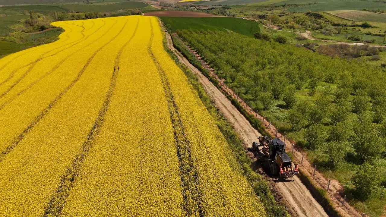 Tekirdağ'da tarla yolu bakım çalışmaları sürüyor