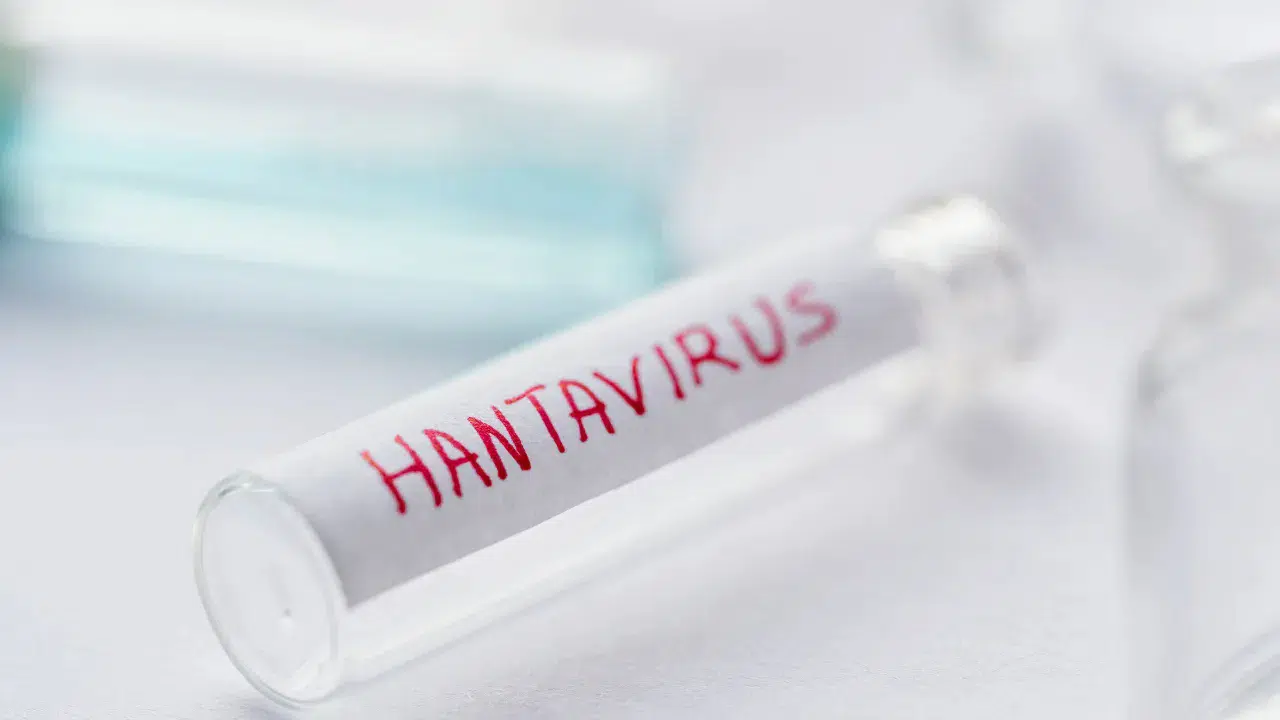 Avrupa’da Hantavirüs alarmı : 5 ülke kruvaziyer yolcuları için tahliye operasyonu başlattı