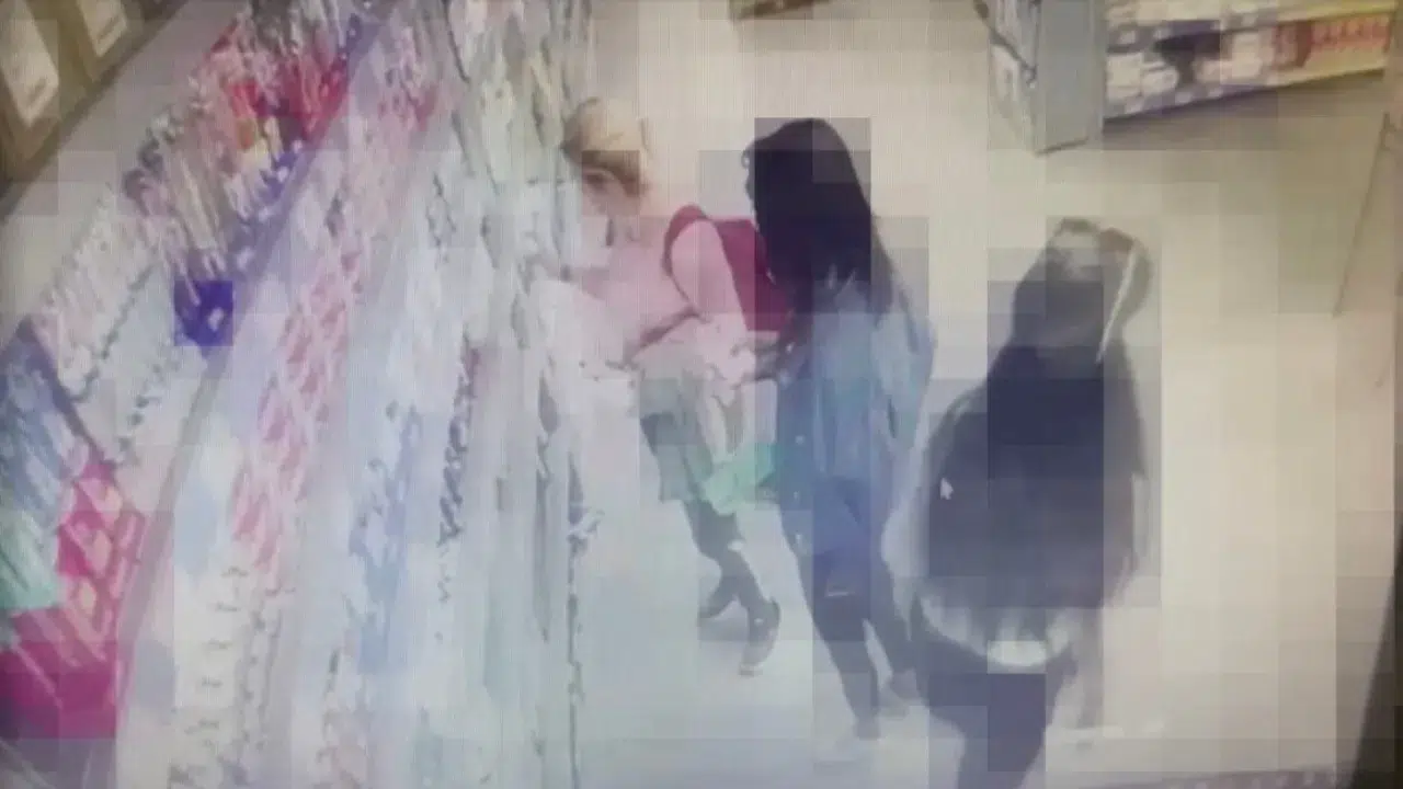 Eskişehir'de iş yeri hırsızlığı : 4 şüpheli yakalandı