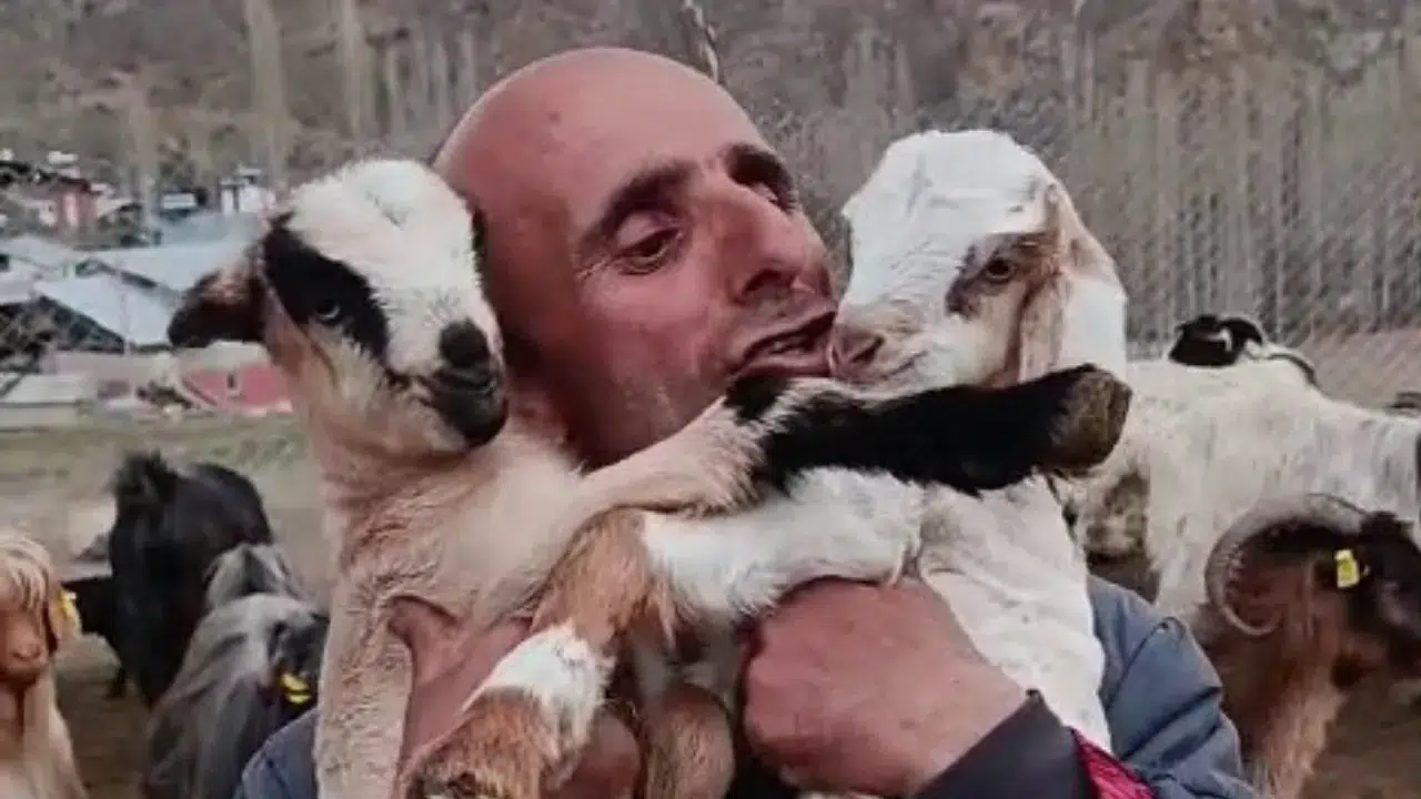 Erzurumlu çobanın oğlak sevgisi büyük ilgi gördü