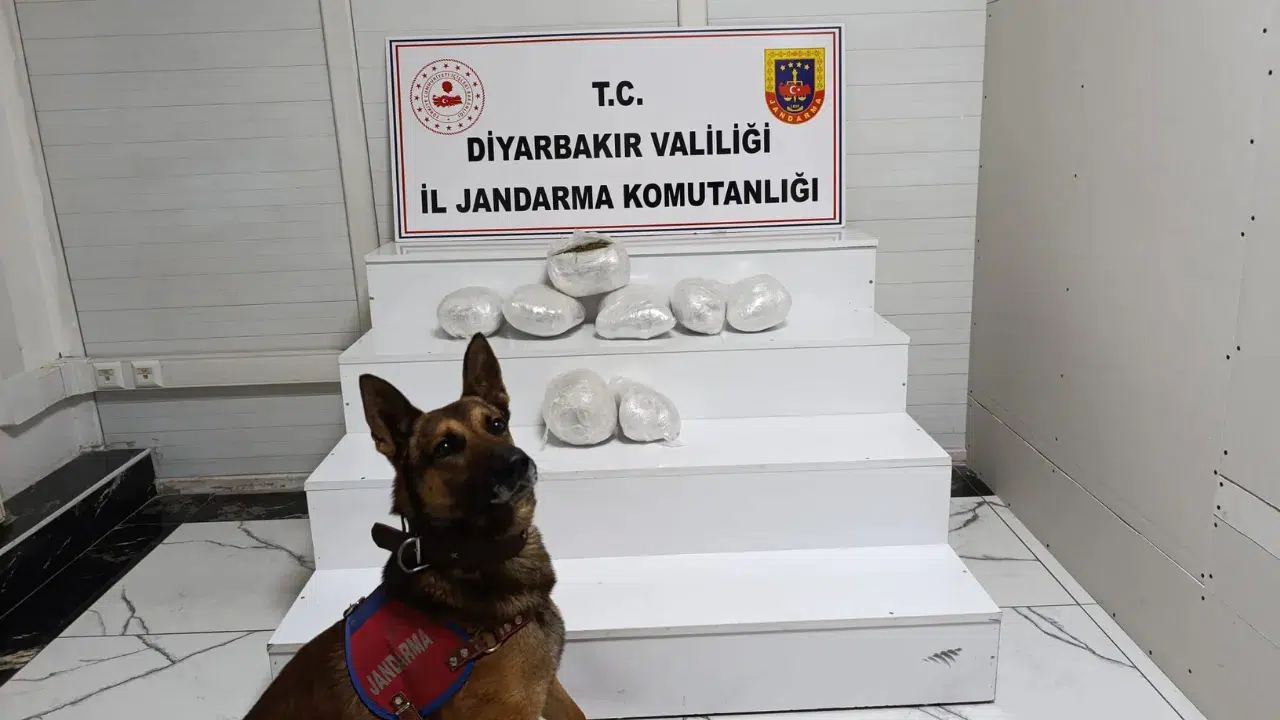 Diyarbakır'da jandarmadan narkotik operasyonu : 150 şüpheli hakkında yasal işlem