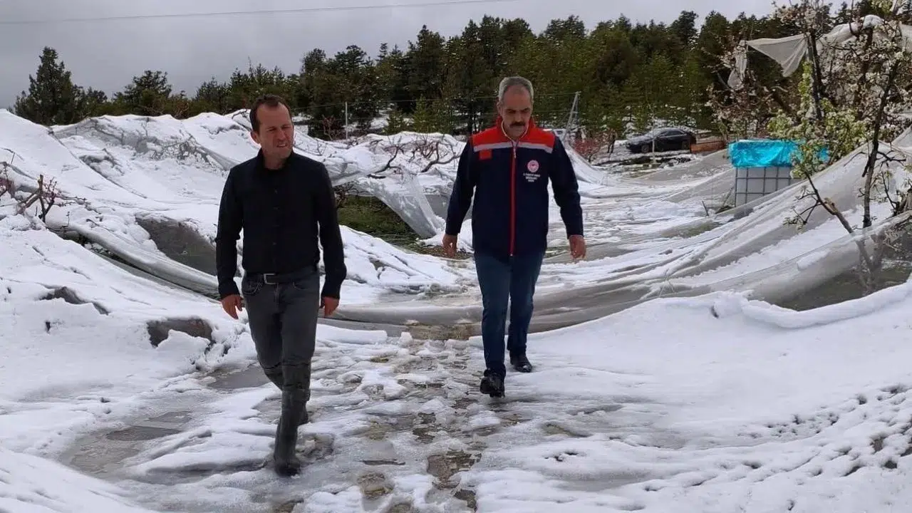Toroslar'da kar yağışının ardından saha çalışmaları hız kazandı