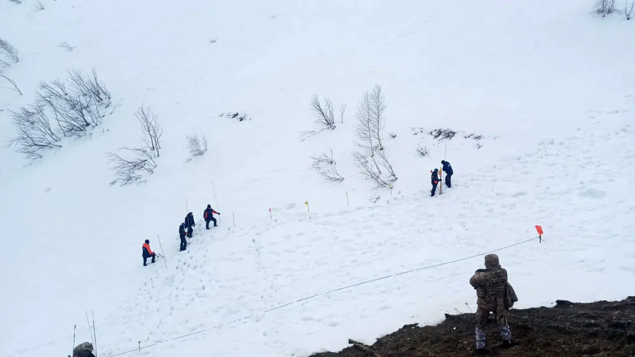 Artvin'de çığ felaketinde kaybolan çobanı arama çalışmaları yeniden başlatıldı
