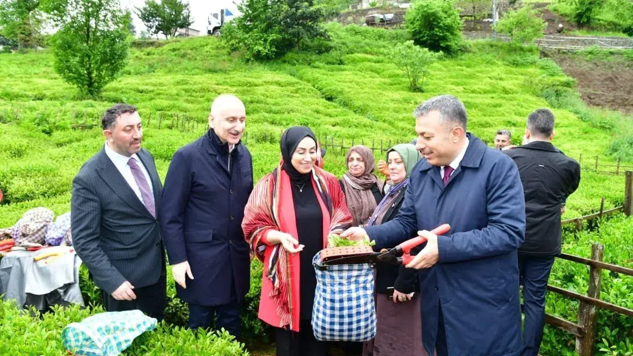 Trabzon’da 2026 yaş çay sezonu açıldı !