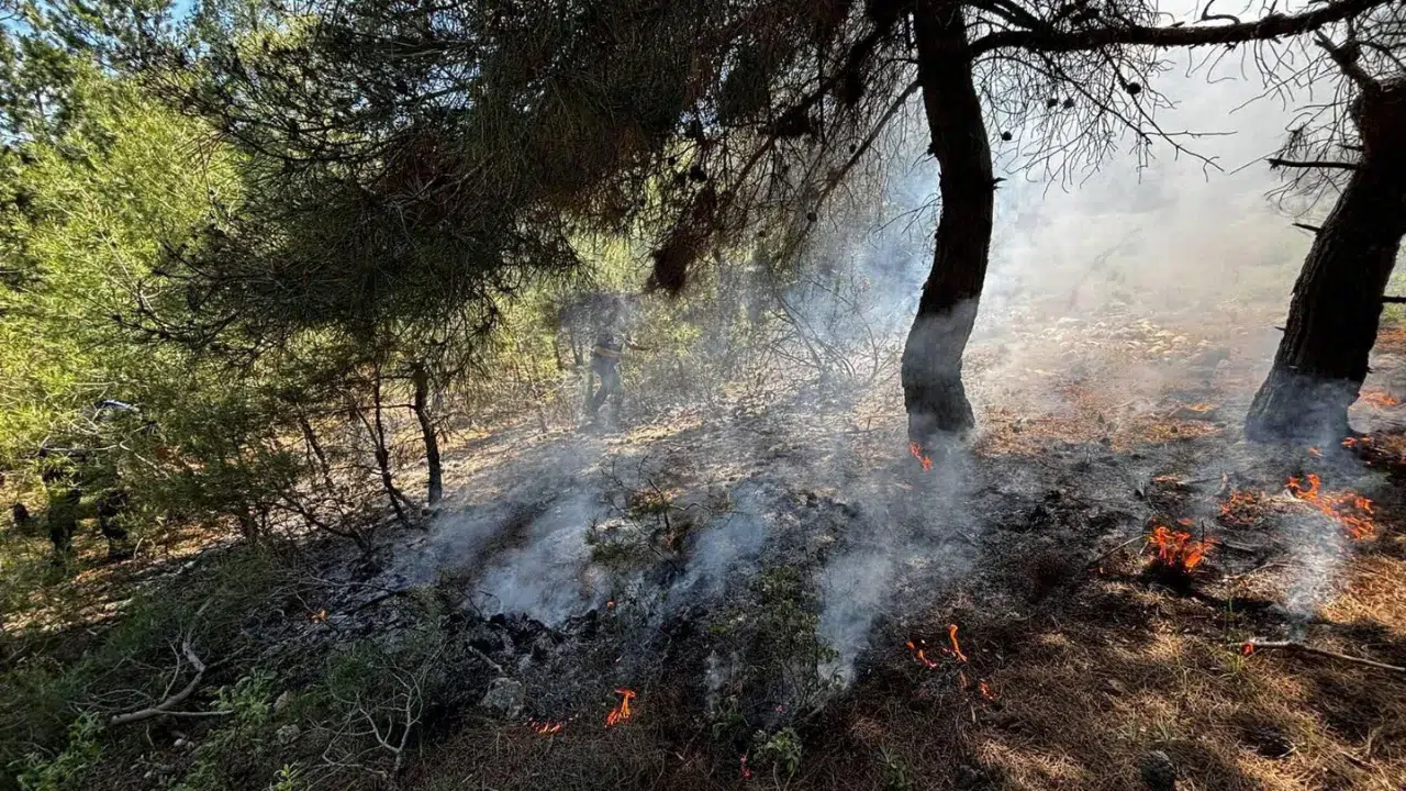 Bilecik'te ormanlık alanda yangın : Çöp dökülen arazide alevler yükseldi