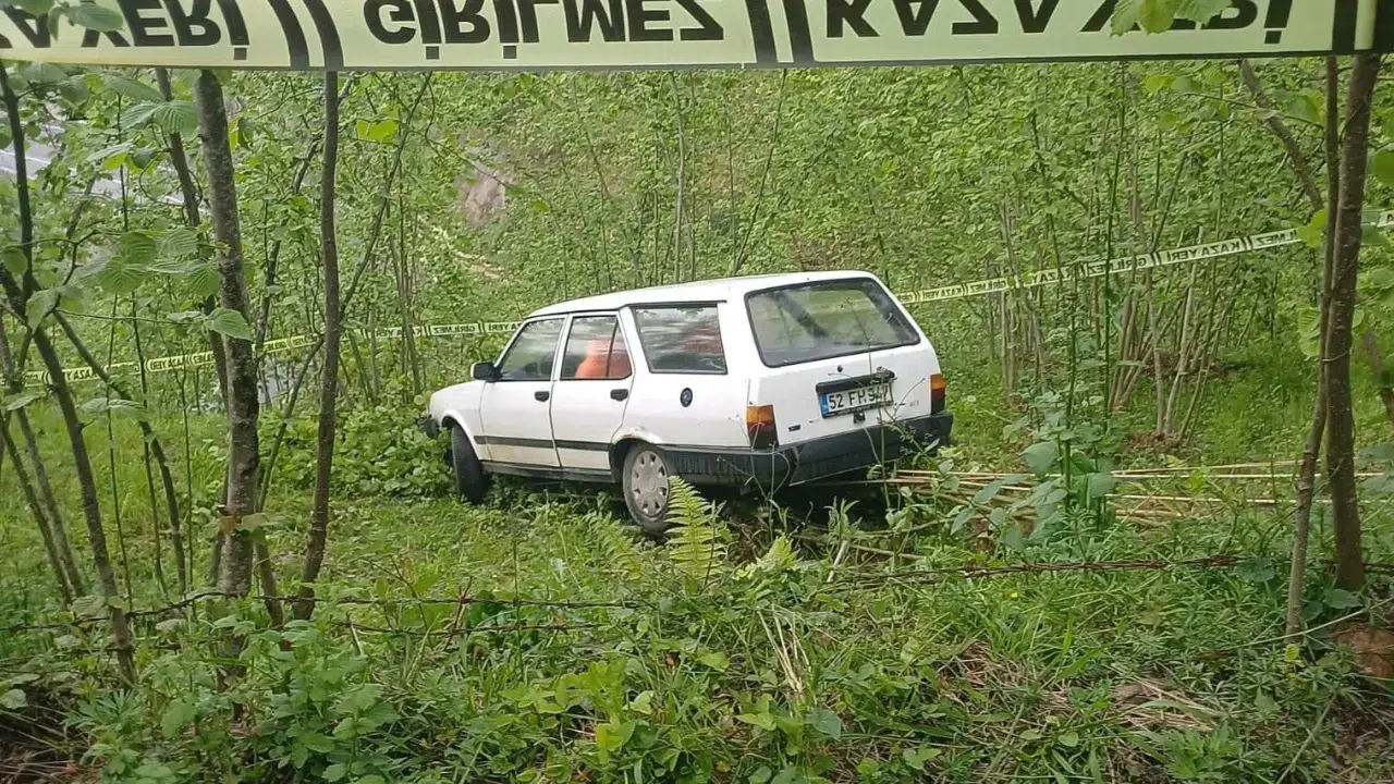Ordu'da otomobil fındık bahçesine girdi, sürücü hayatını kaybetti
