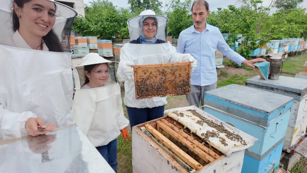 Düzce'de genç kadın girişimci 350 arı kovanıyla üretim sağlyor