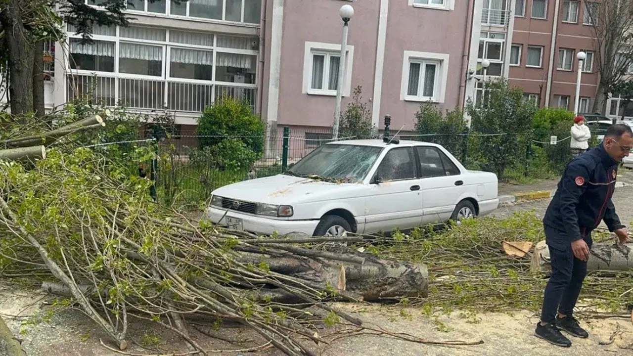 İstanbul'da şiddetli rüzgar : Beylikdüzü'nde ağaç devrildi