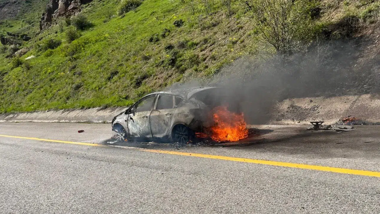 Vauk Dağı'nda seyir halindeki otomobilde yangın paniği