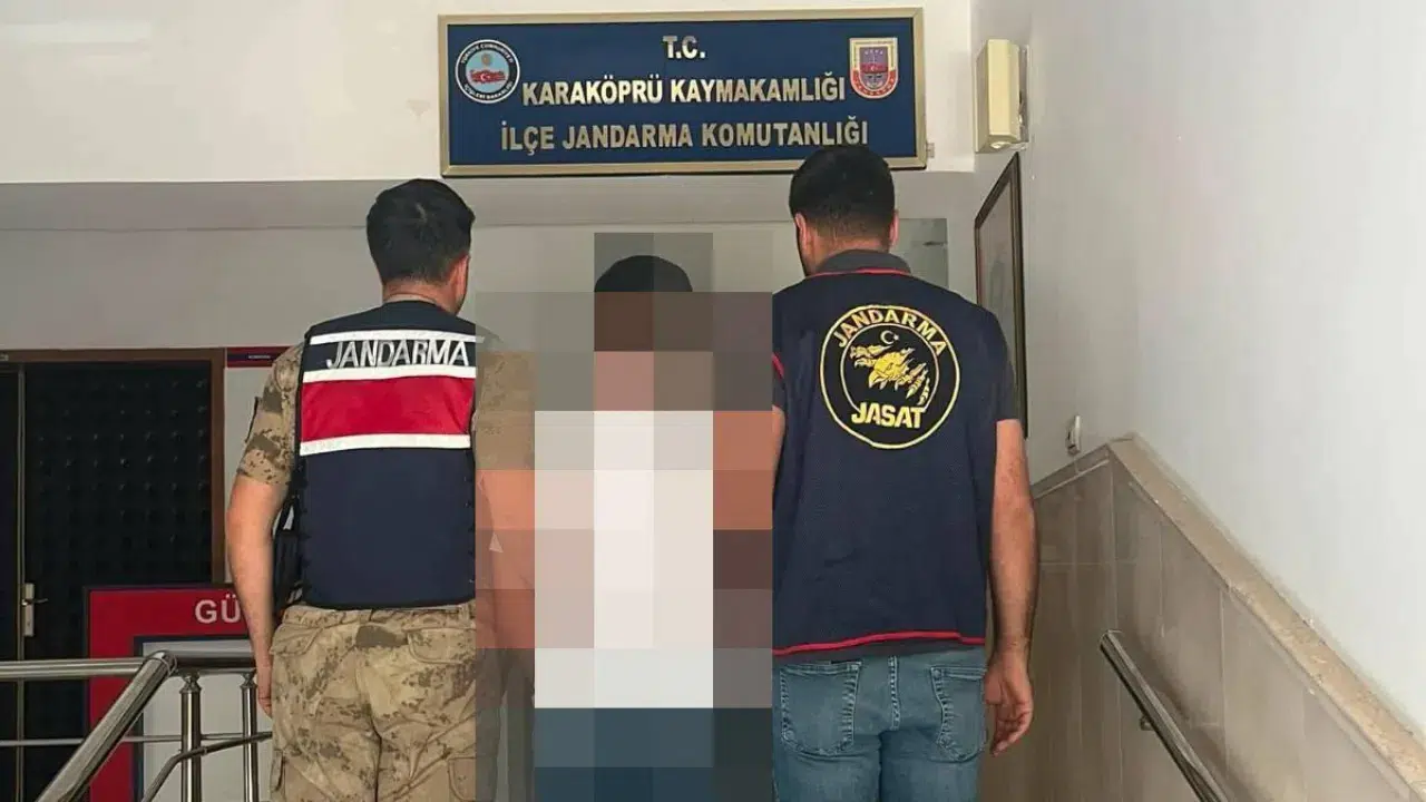 Şanlıurfa'da firari şahıs jandarma operasyonuyla y
