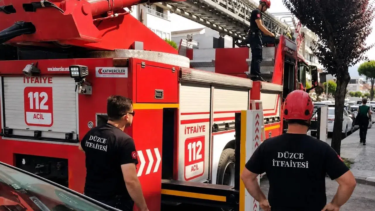 Düzce’de egzoz sesinden korkup çatıya uçan papağan
