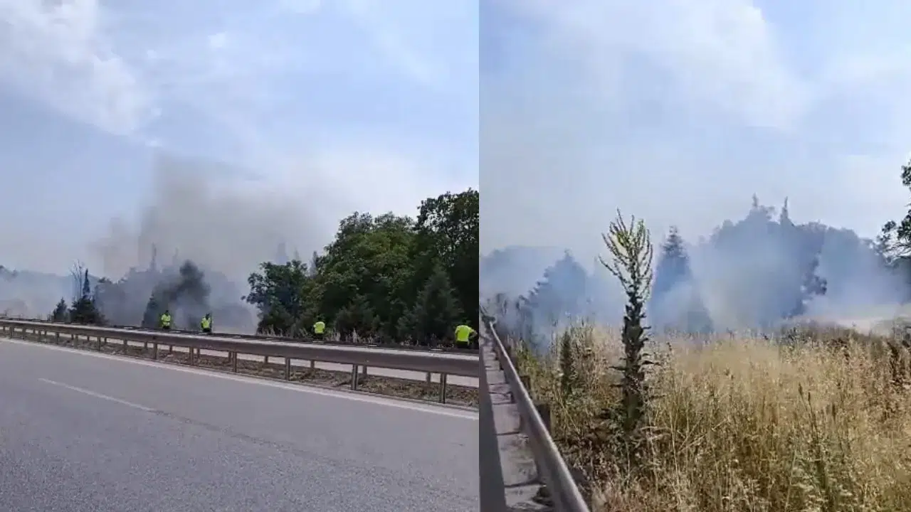 İzmir-Bursa kara yolunda yangın çıktı