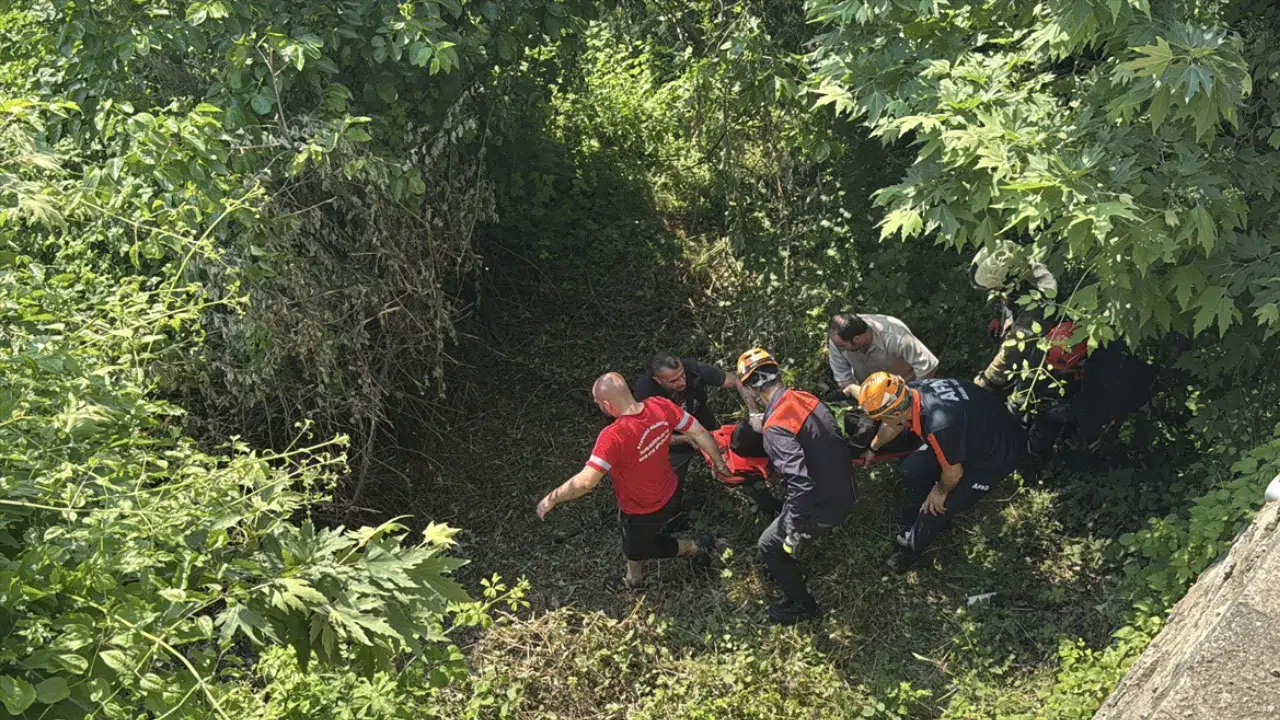 Kocaeli'de otomobil uçuruma yuvarlandı : Sürücü yaralandı