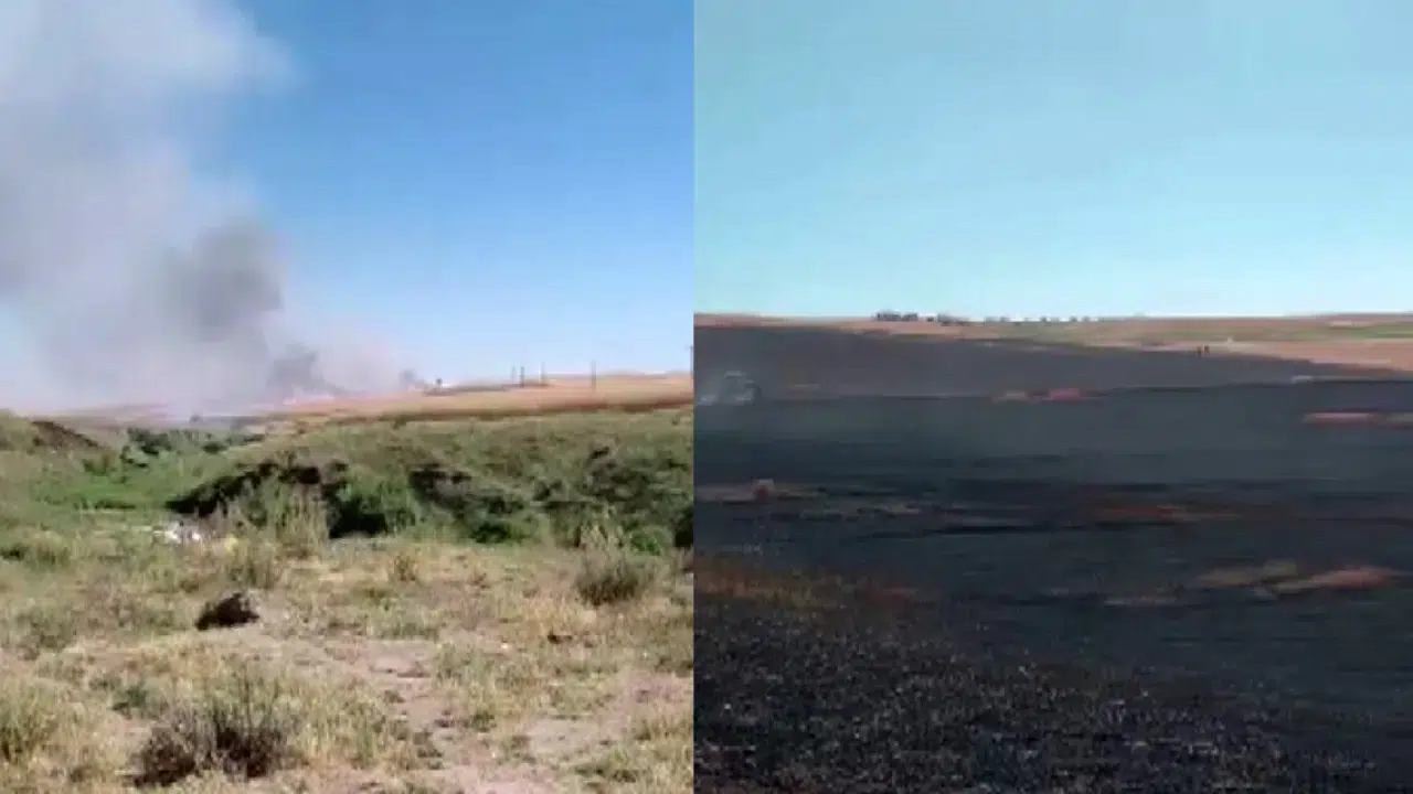 Diyarbakır'da 150 dönümlük tarlada yangın çıktı