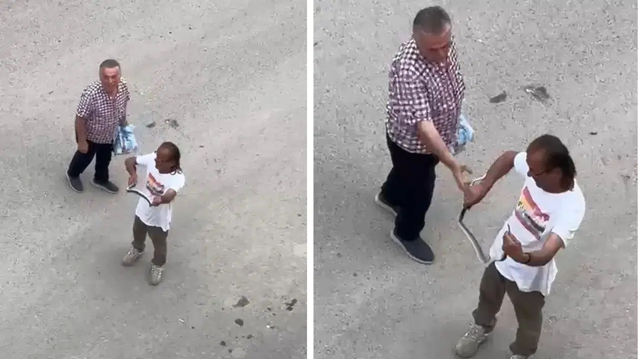 Sakarya’da şaşırtan müdahale : Evde dolaşan yılanı çıplak el