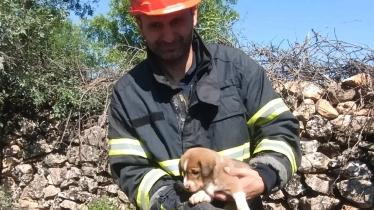 Mardin'de köpek yavrusu su kuyusuna düştü, ekipler kurtardı