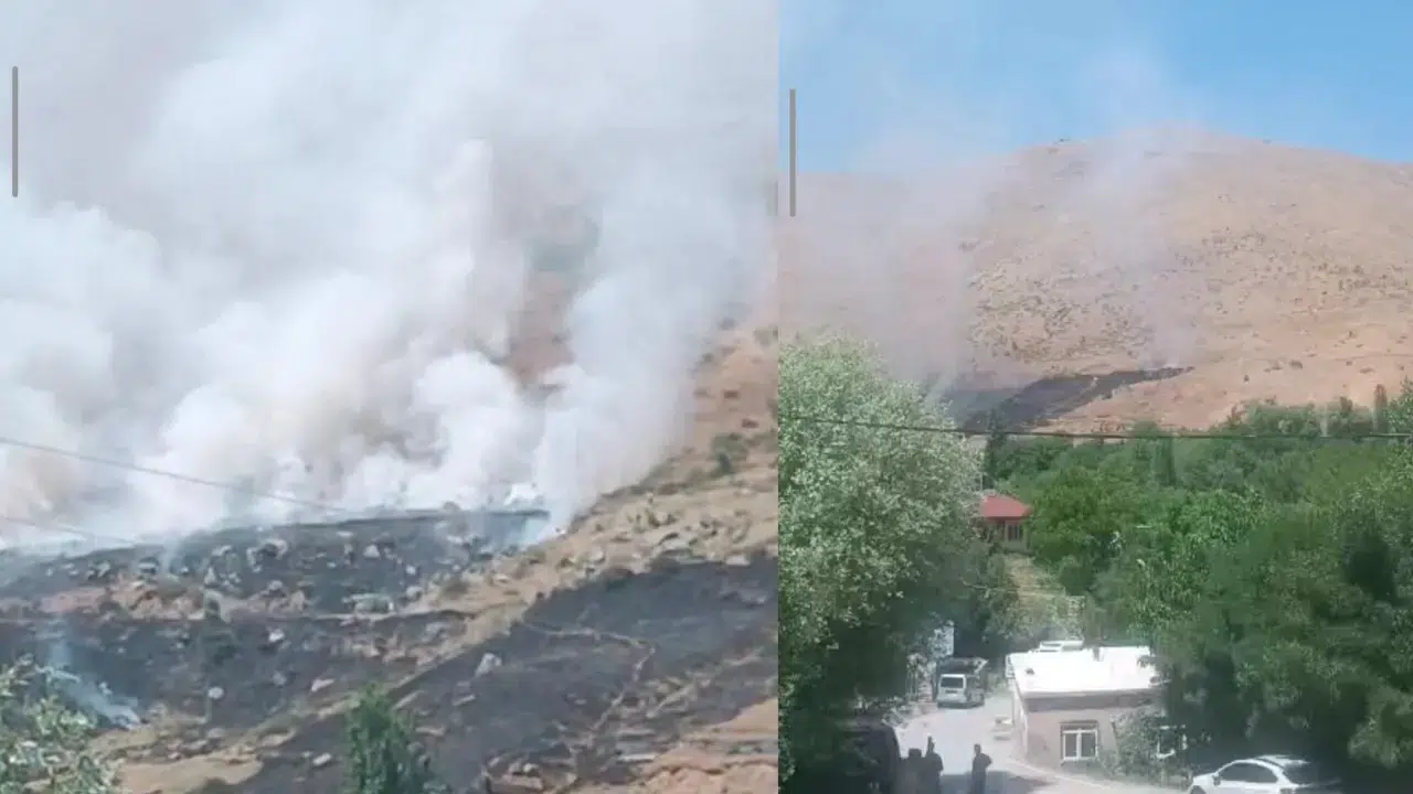 Bitlis'te yangın nedeniyle binlerce arı telef oldu