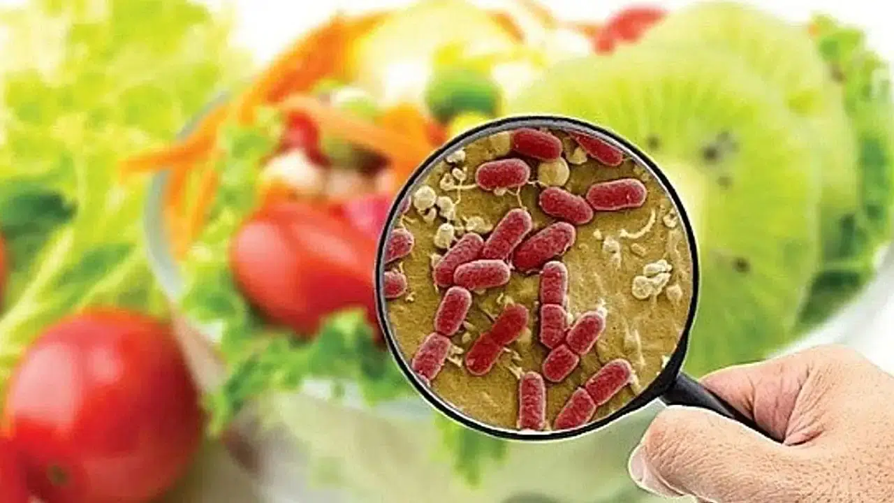 Tarımda B-Reçete Dönemi Başlıyor: Bu Yeni Sistem Neleri Kapsıyor?