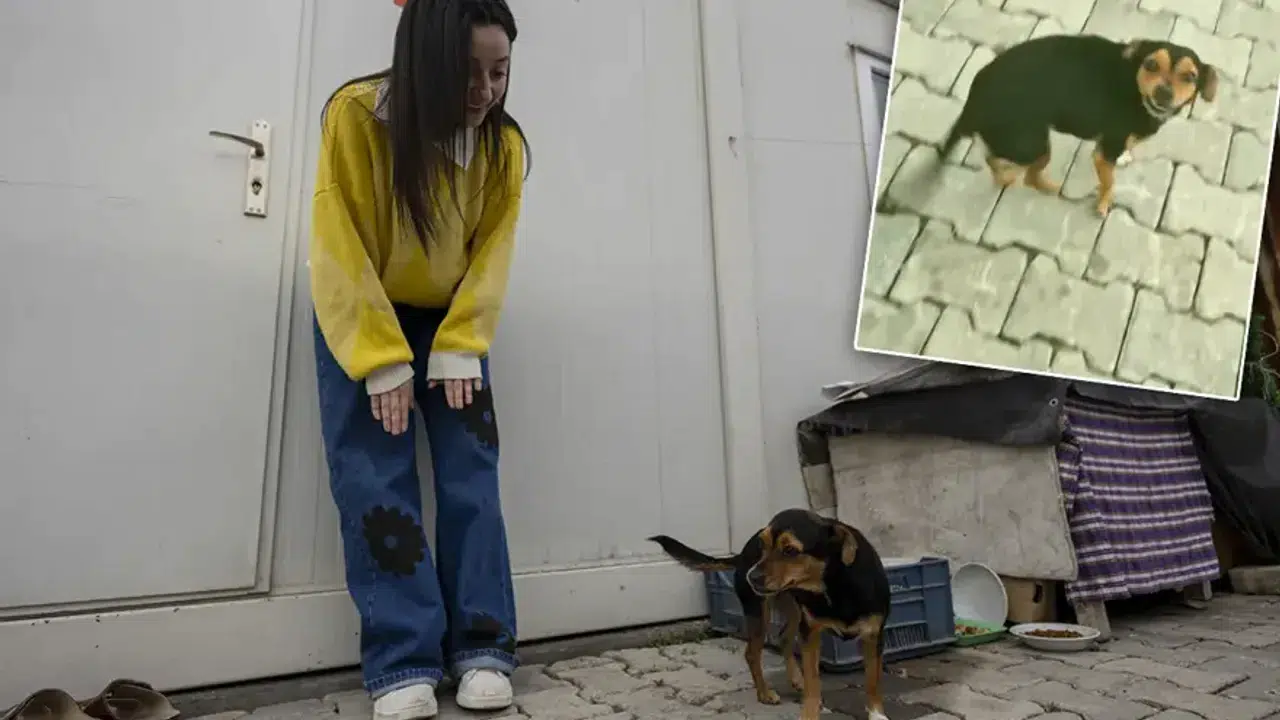 Hanimiş benim tontişim şarkısını seslendiren Fatma Arat kimdir ve ne iş yapmaktadır?