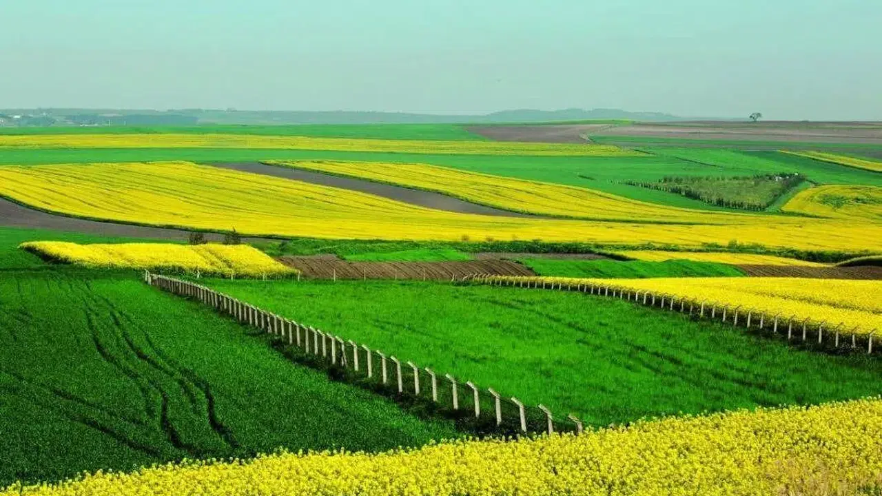 Arsa sahibi olmak isteyenler için İller Bankası'ndan yeni fırsatlar mı geliyor?