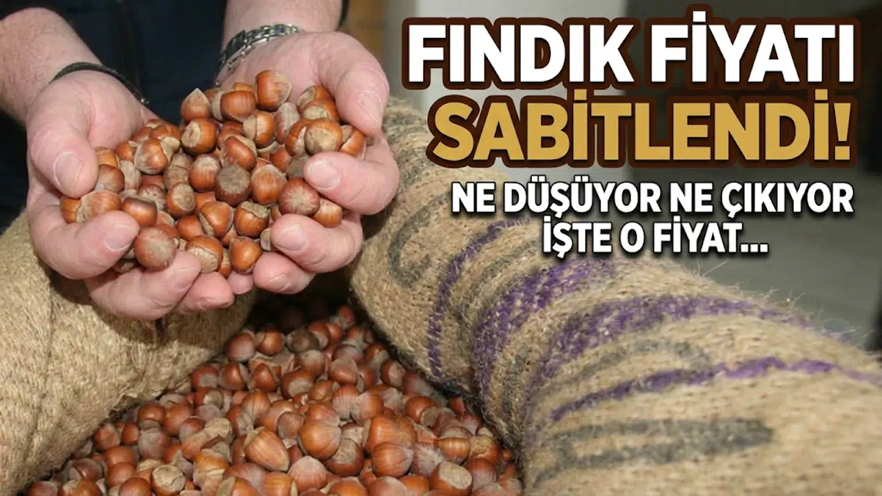 Fındık fiyatları neden bu seviyede sabitlendi ve üreticiler ne bekliyor?