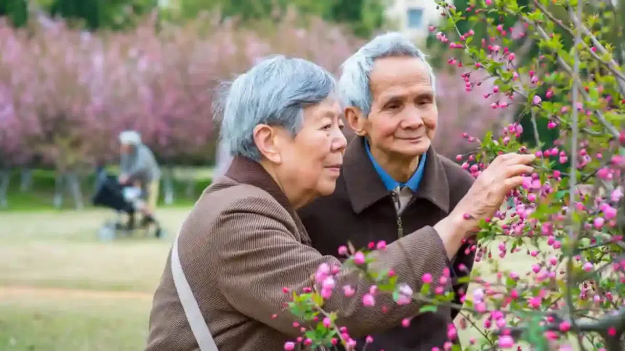 Uzun yaşamanın sırrı kalbimizde gizli! İnsanlara dokunmak iyileştiriyor
