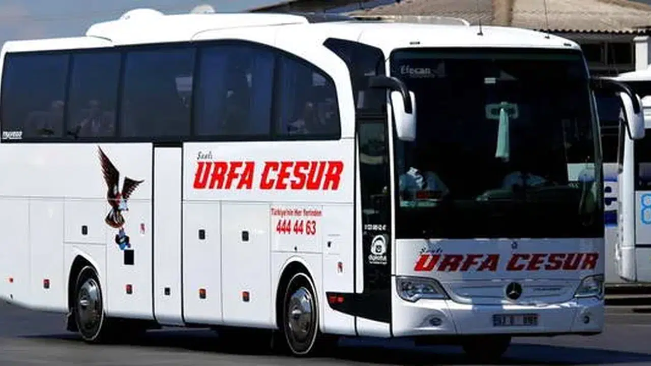 Urfa Cesur Turizm neden kapandı ve iflas mı etti? Seferler neden yok?