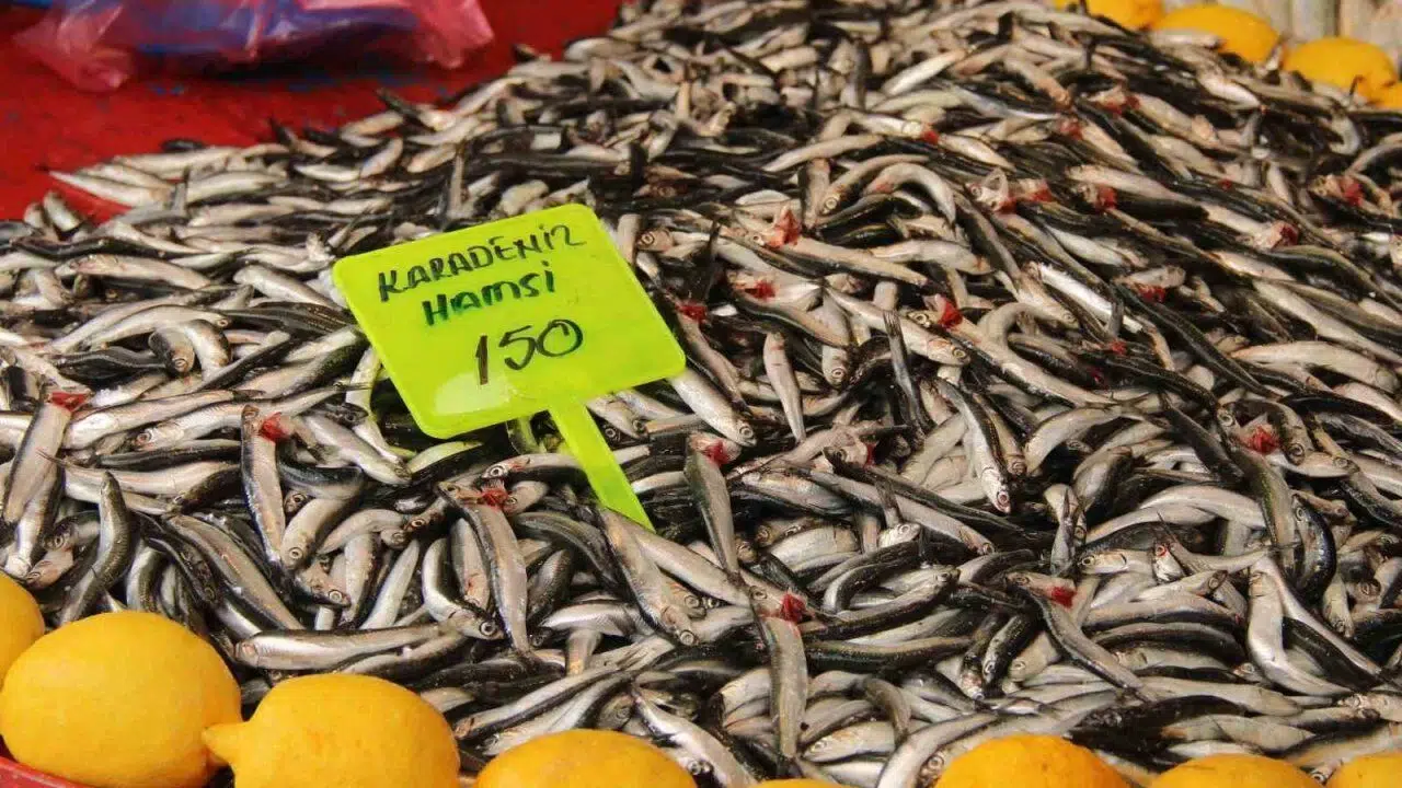 Hamsi fiyatları Menteşe'de neden 150 liraya geriledi? Balık tezgahlarında neler oluyor?