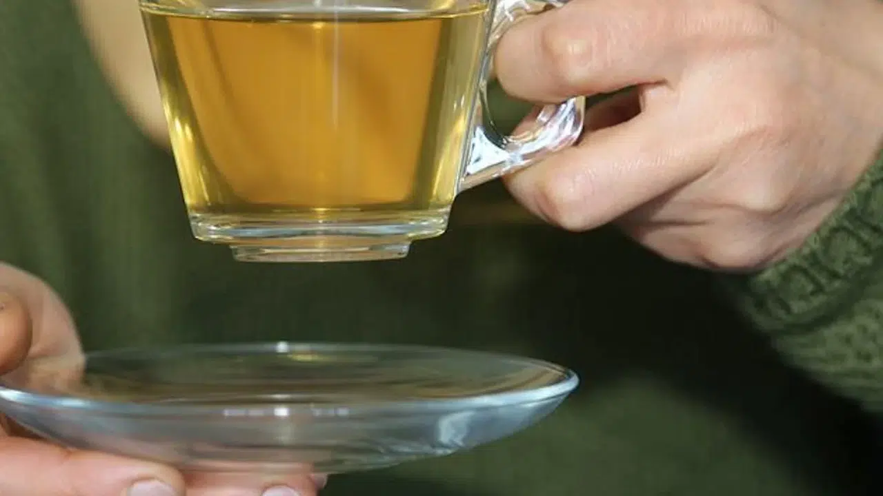 Ramazan'da İftardan Sonra Hangi Bitki Çayları Hazımsızlığı Giderir?