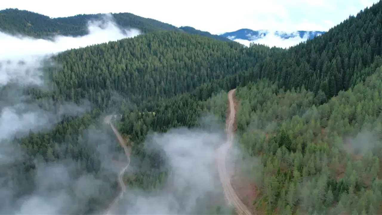 21 İlde Orman Sınırları Dışına Çıkarılan Alanlar Hangi İlleri Kapsıyor?