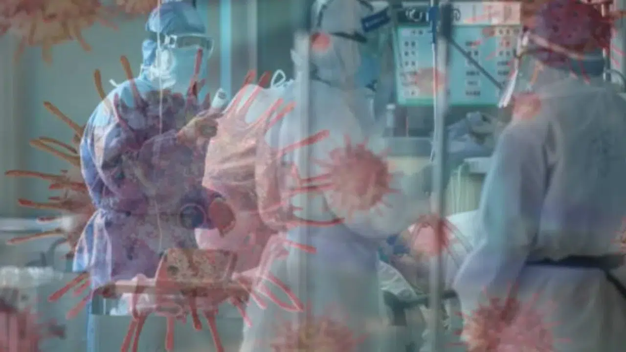 Yarasa Kaynaklı Nipah Virüsü Salgını Neden Bu Kadar Tehlikeli?