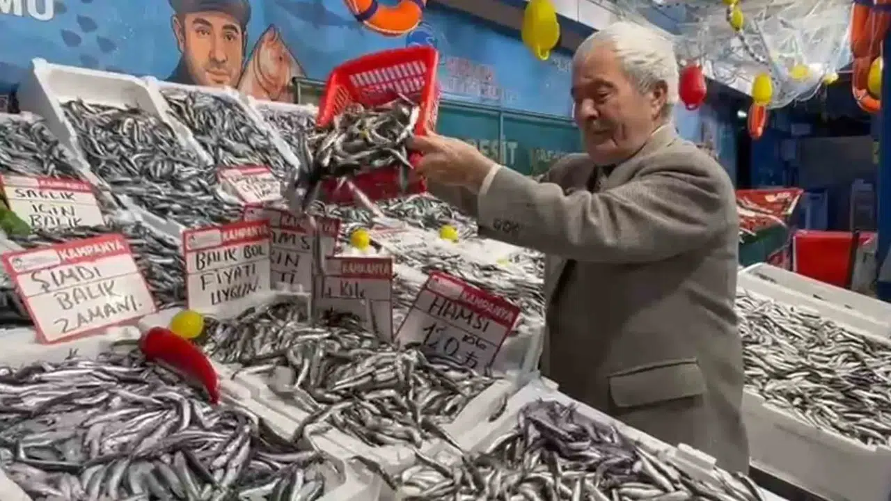Hamsi Fiyatları Dibe İndi! Deniz Bereketi Tezgahlara Yansıdı